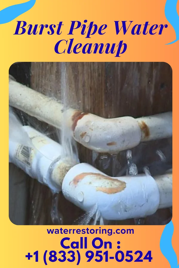 Burst Pipe Water Cleanup in Pleasant Valley, CT
