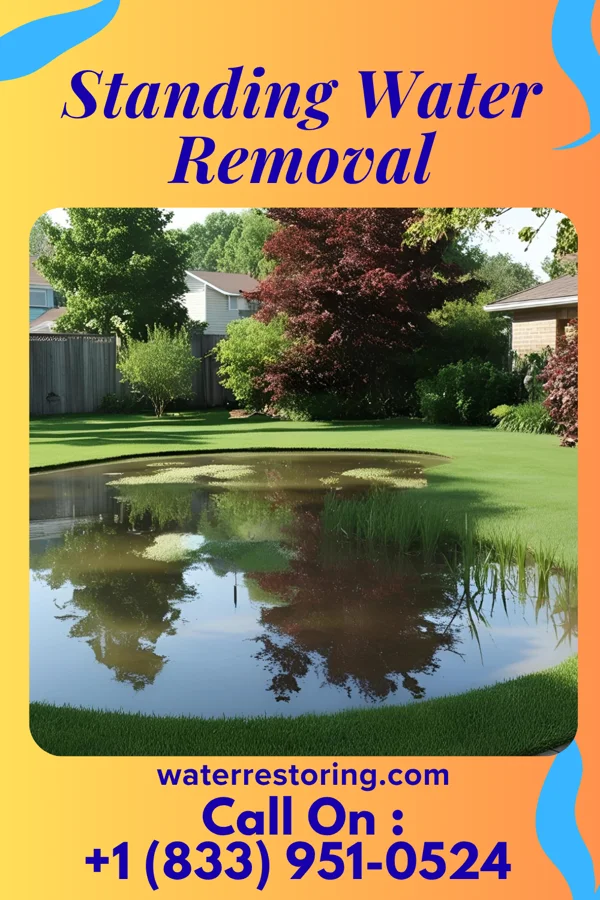 Standing Water Removal in Pleasant Valley, CT
